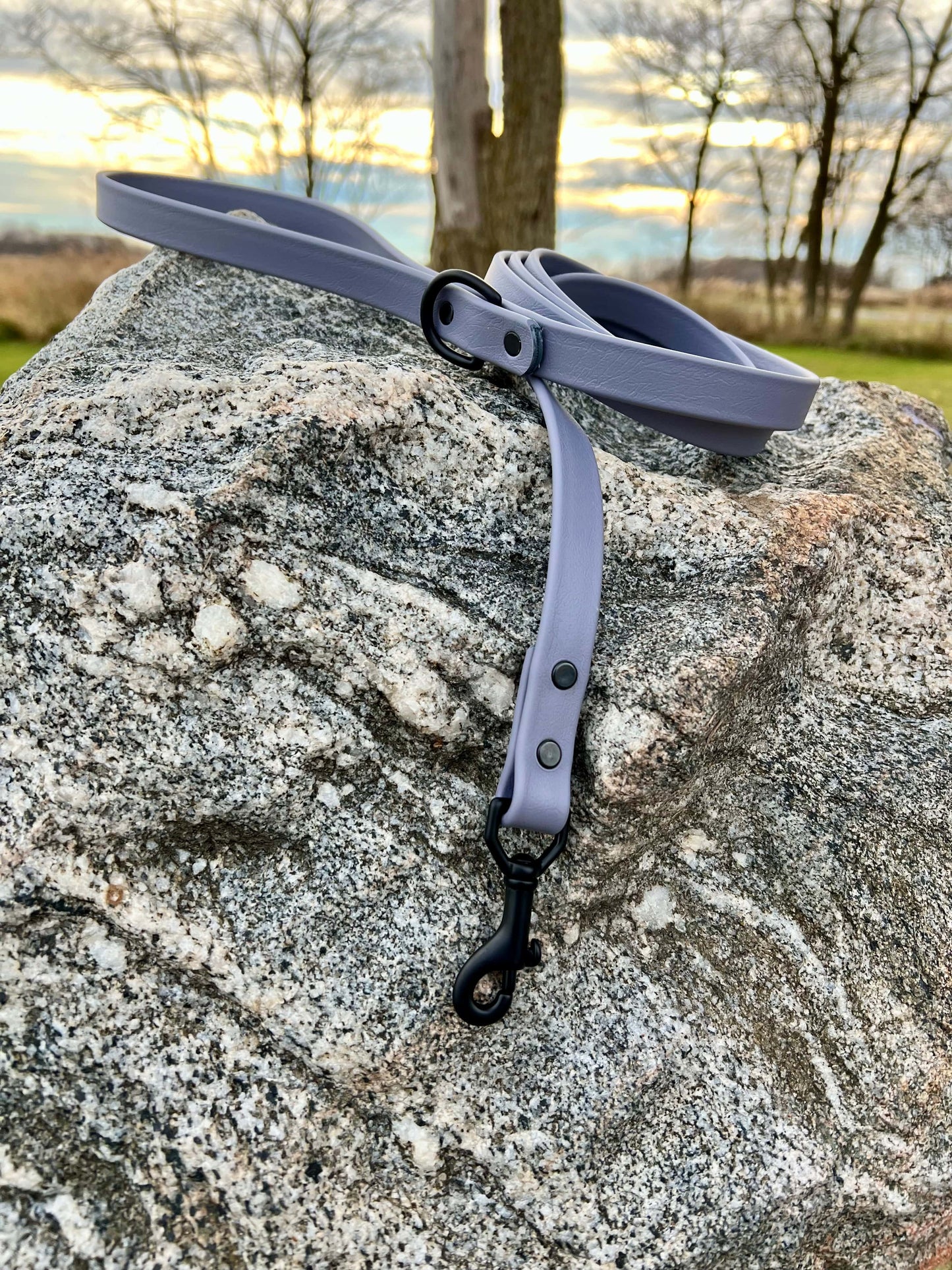 A durable gray biothane dog leash with contrasting black hardware, designed for strength and style, ideal for everyday use and outdoor adventures.