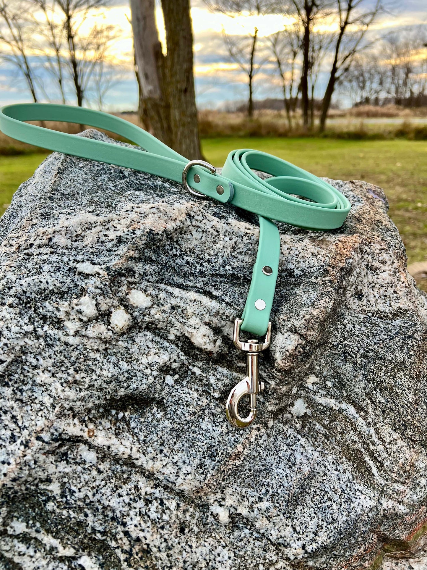 A durable sage green biothane dog leash with contrasting nickel plated hardware, designed for strength and style, ideal for everyday use and outdoor adventures.