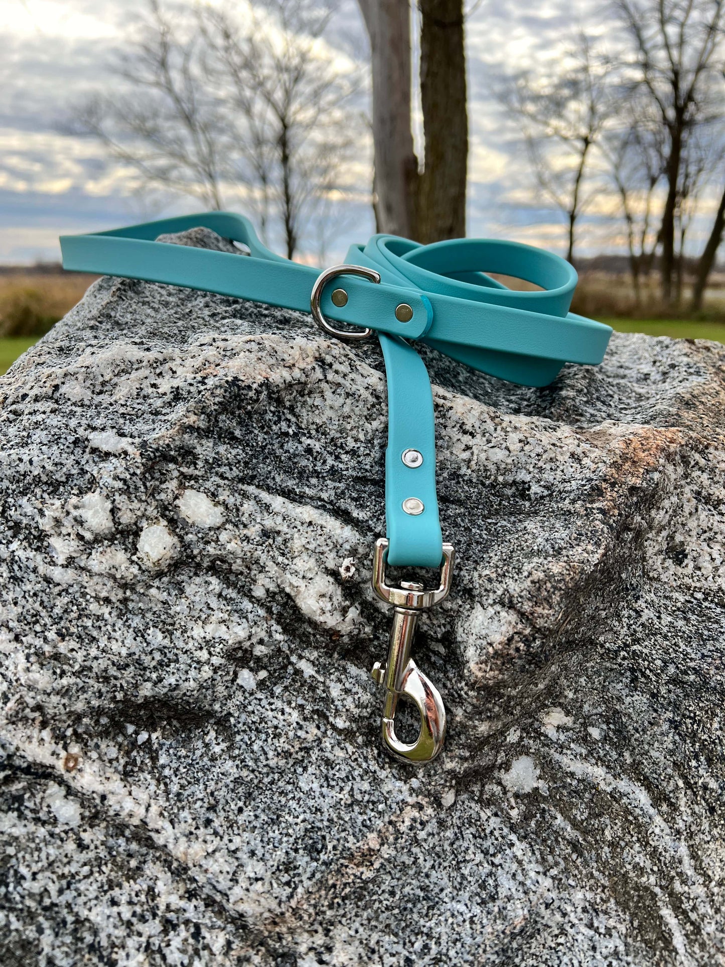 A durable turquoise biothane dog leash with contrasting nickel plated hardware, designed for strength and style, ideal for everyday use and outdoor adventures.