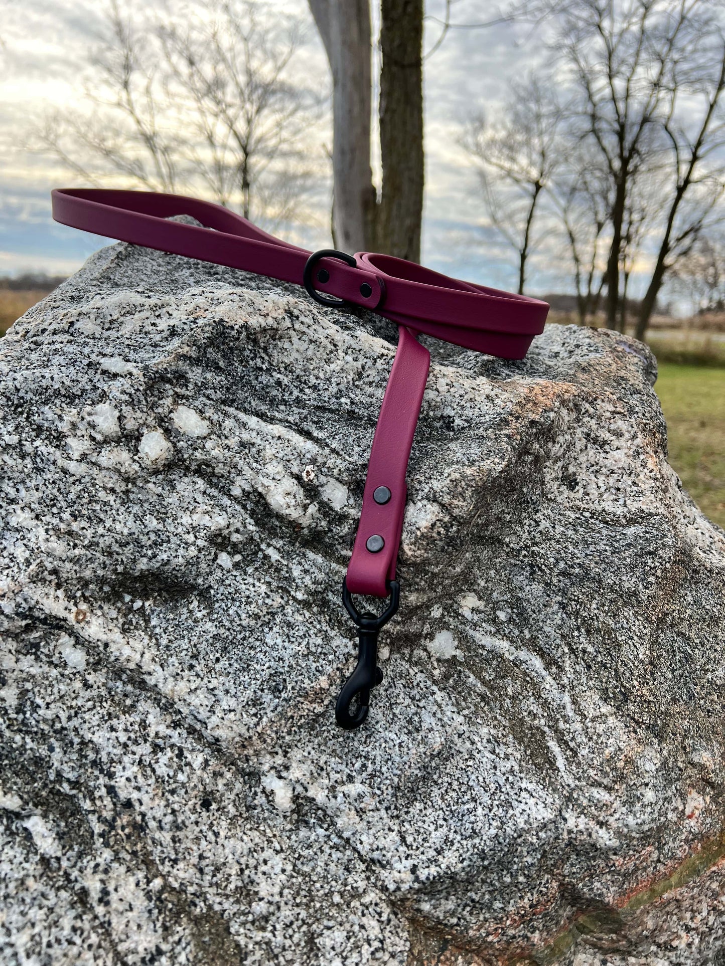 A durable wine biothane dog leash with contrasting black hardware, designed for strength and style, ideal for everyday use and outdoor adventures. This is a deep burgundy color.