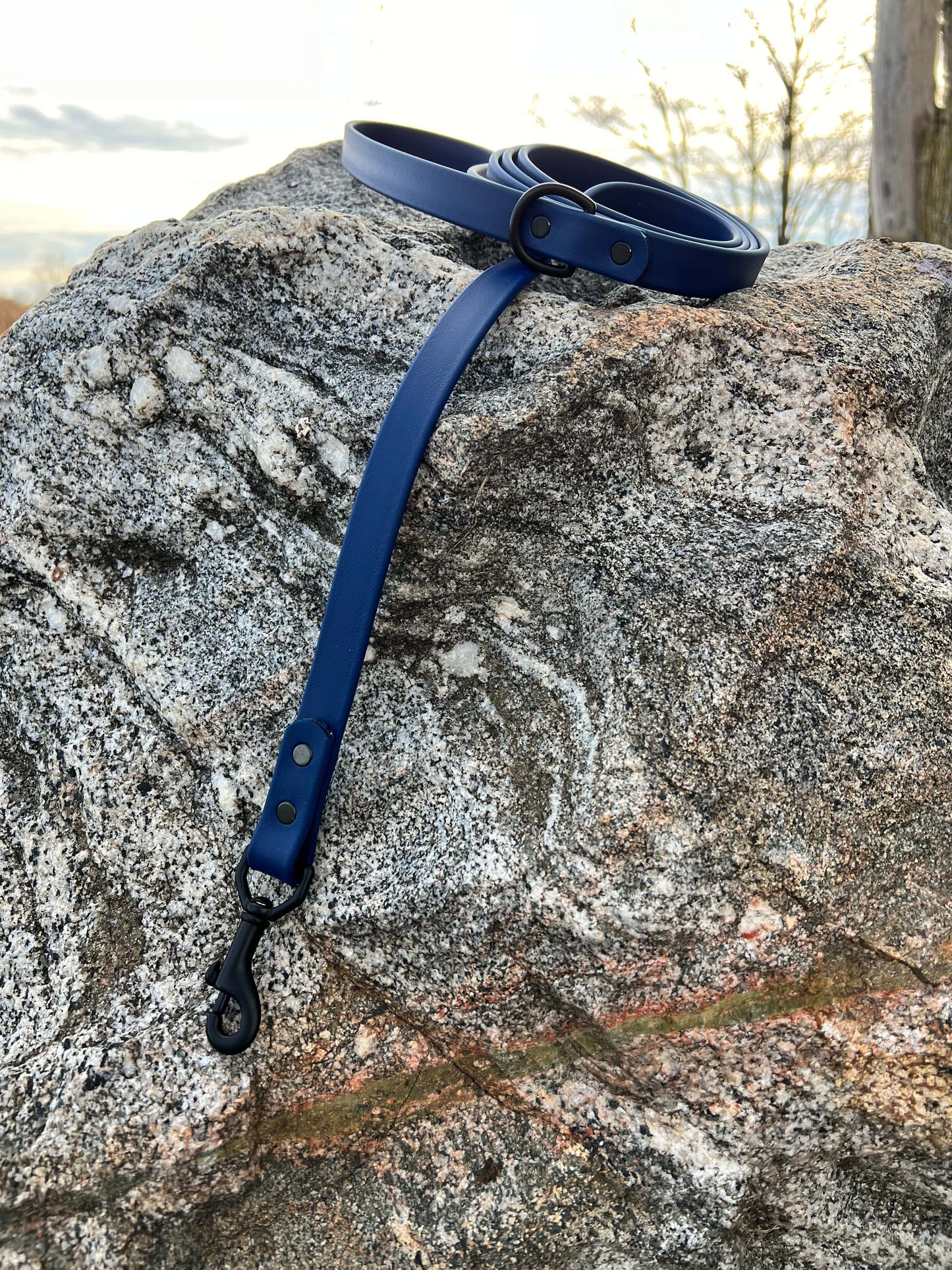 A durable deep sea blue biothane dog leash with black hardware, designed for strength and style, ideal for everyday use and outdoor adventures.