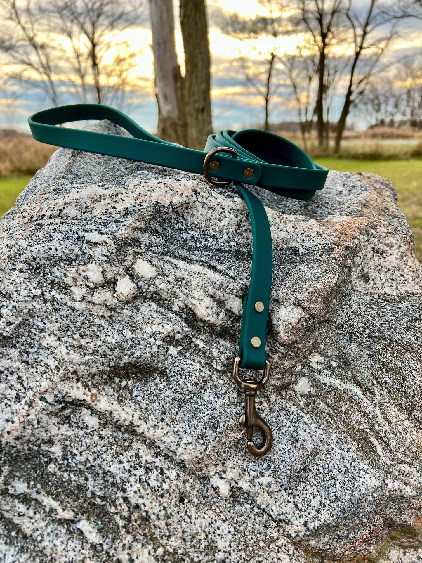 A durable forest green biothane dog leash with antique hardware, designed for strength and style, ideal for everyday use and outdoor adventures.