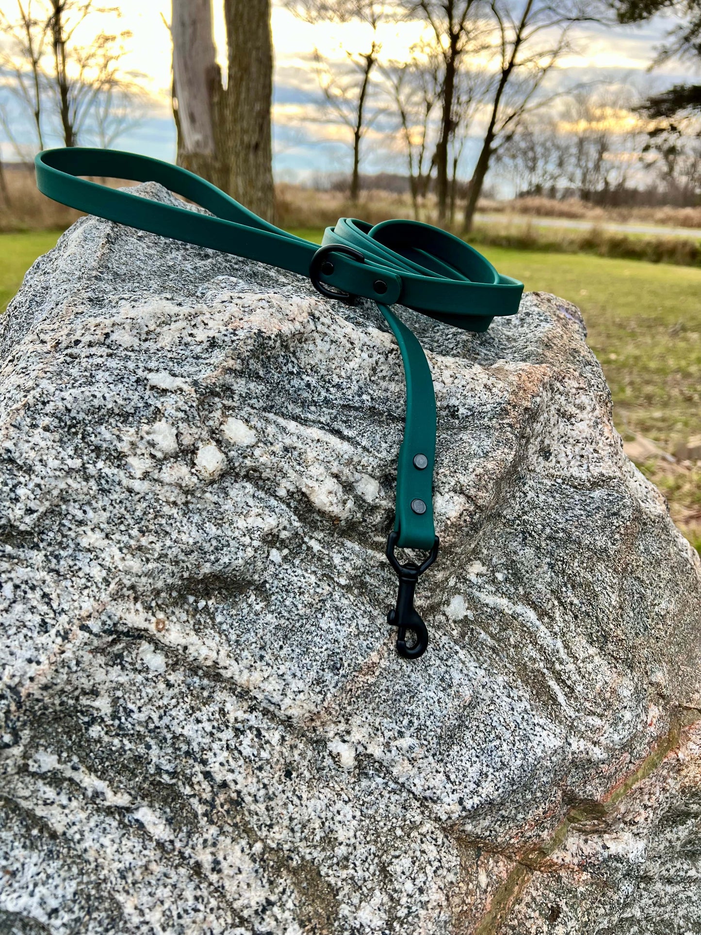 A durable forest green biothane dog leash with black hardware, designed for strength and style, ideal for everyday use and outdoor adventures.