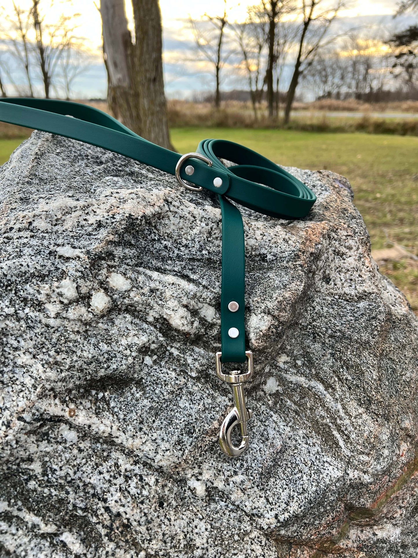 A durable forest green biothane dog leash with contrasting nickel plated hardware, designed for strength and style, ideal for everyday use and outdoor adventures.