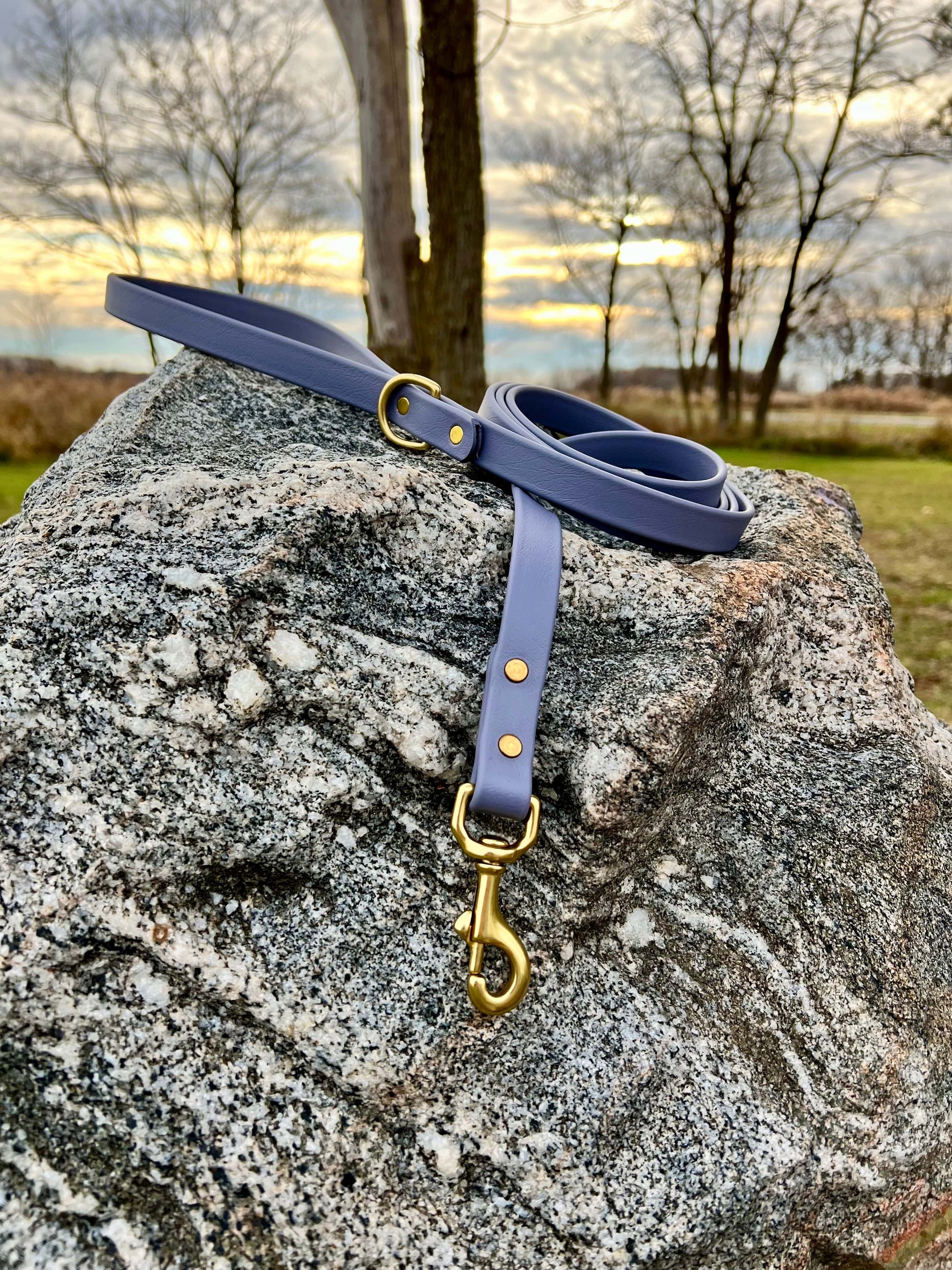 A durable gray biothane dog leash with contrasting brass hardware, designed for strength and style, ideal for everyday use and outdoor adventures.