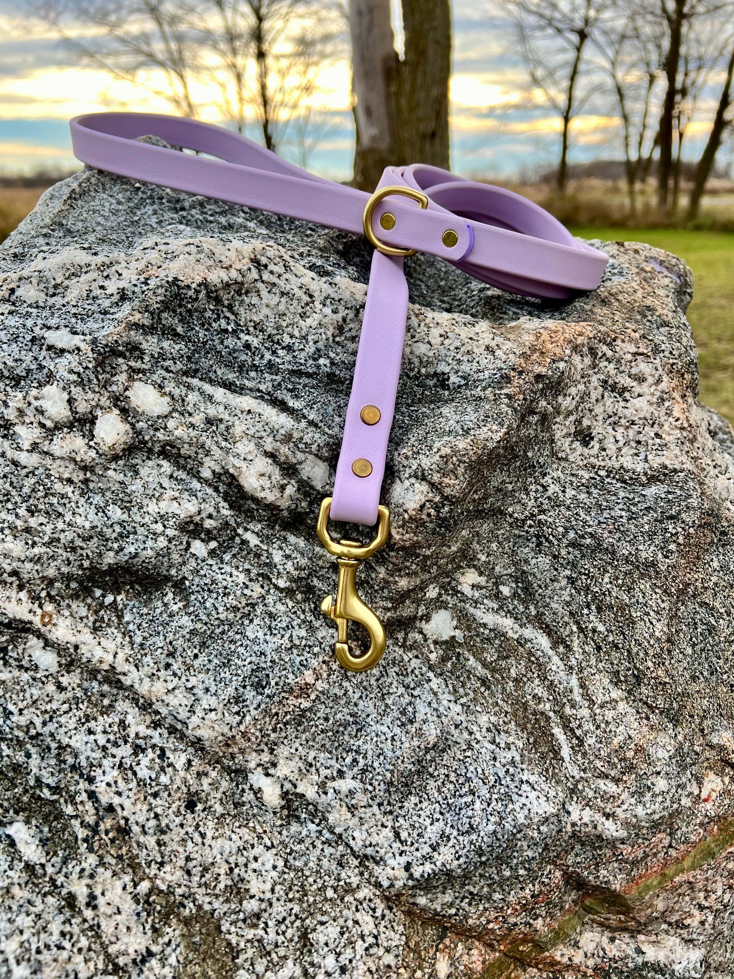 A durable lilac biothane dog leash with contrasting brass hardware, designed for strength and style, ideal for everyday use and outdoor adventures.