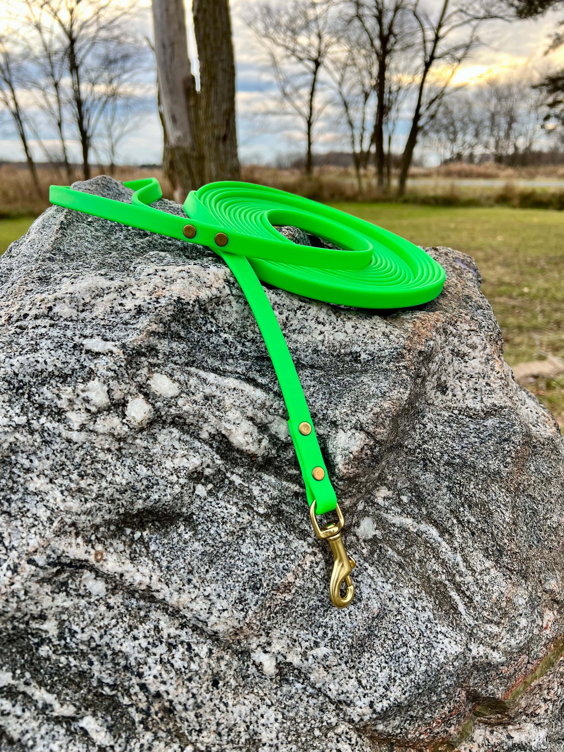 A durable neon green biothane dog long lead with contrasting brass hardware, designed for strength and style, ideal for everyday use and outdoor adventures. Great for training recall and the beginning steps of off leash dog training.