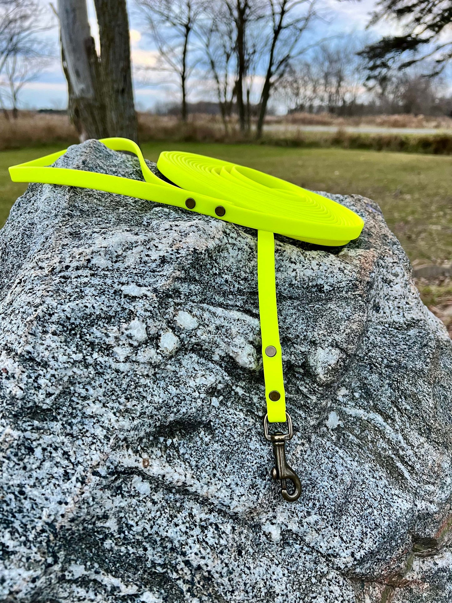 A durable neon yellow biothane dog long lead with contrasting antique hardware, designed for strength and style, ideal for everyday use and outdoor adventures. Great for training recall and the beginning steps of off leash dog training.