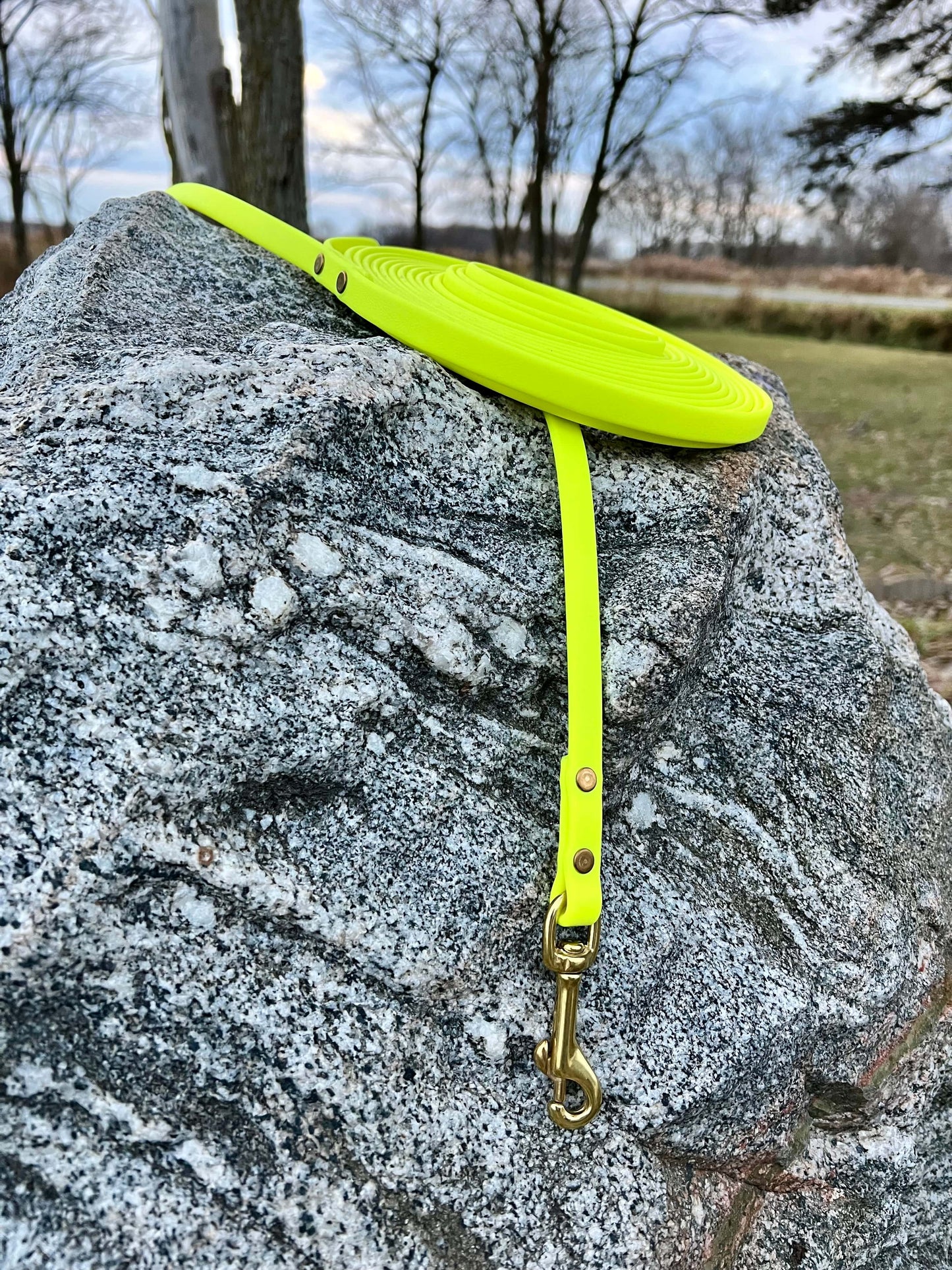 A durable neon yellow biothane dog long lead with contrasting brass hardware, designed for strength and style, ideal for everyday use and outdoor adventures. Great for training recall and the beginning steps of off leash dog training.