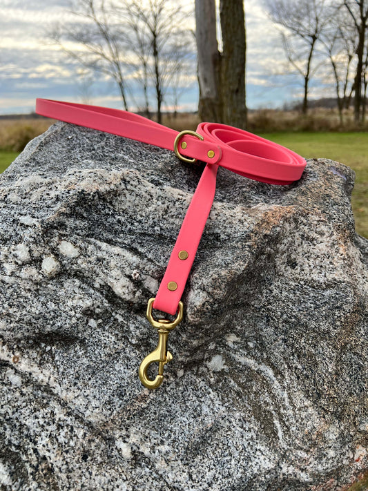 A durable pink coral biothane dog leash with contrasting brass hardware, designed for strength and style, ideal for everyday use and outdoor adventures.