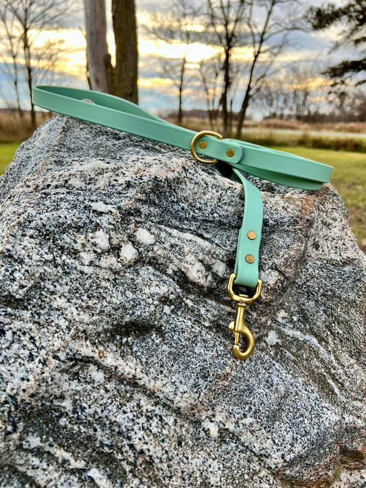 A durable sage green biothane dog leash with contrasting brass hardware, designed for strength and style, ideal for everyday use and outdoor adventures.