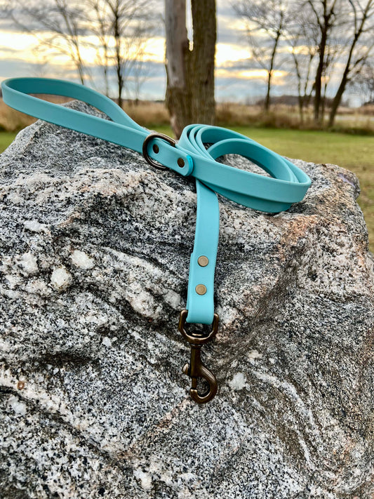 A durable turquoise biothane dog leash with contrasting antique hardware, designed for strength and style, ideal for everyday use and outdoor adventures.