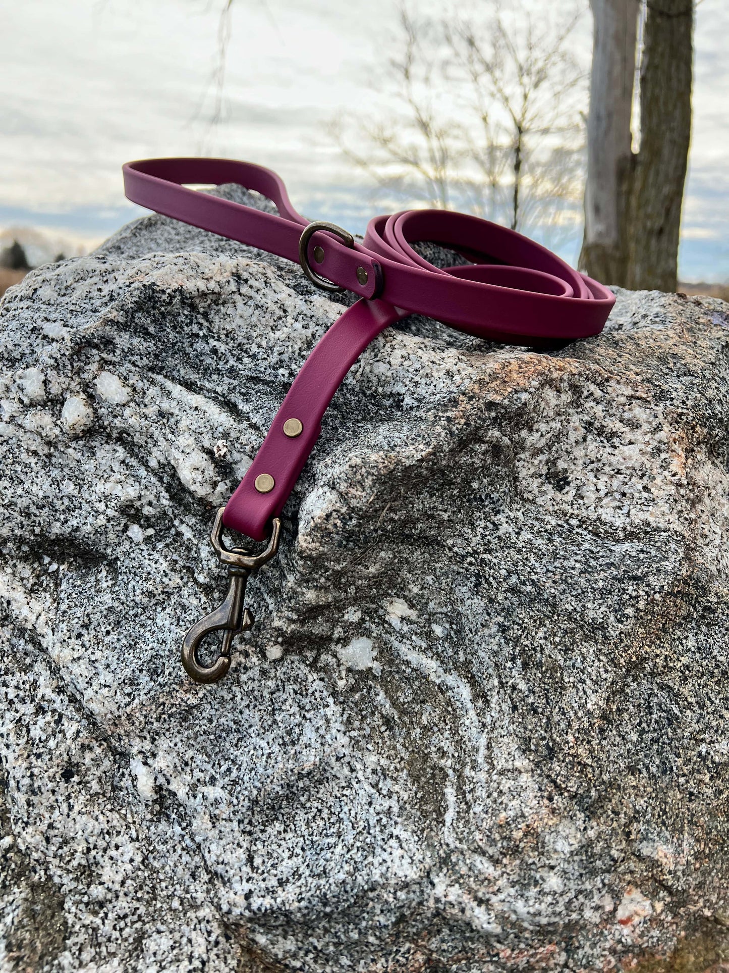 A durable wine biothane dog leash with contrasting antique hardware, designed for strength and style, ideal for everyday use and outdoor adventures. This is a deep burgundy color. 