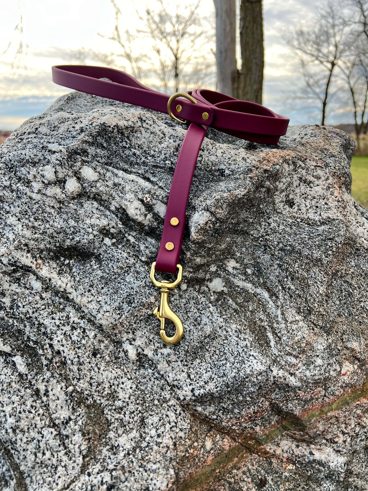 A durable wine biothane dog leash with contrasting brass hardware, designed for strength and style, ideal for everyday use and outdoor adventures. This is a deep burgundy color. 